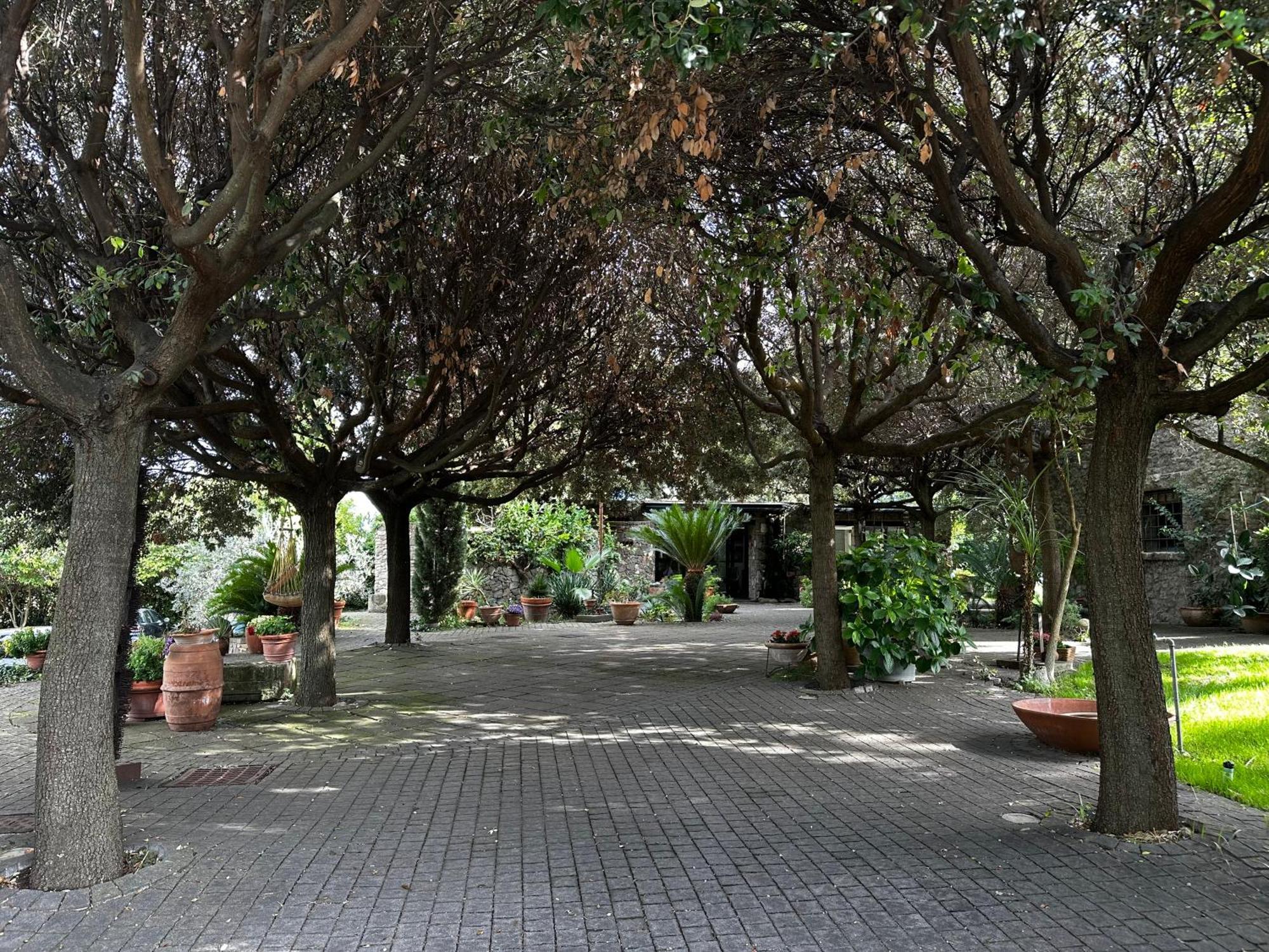 Borgo De' Paolis Apartment Grottaferrata Luaran gambar