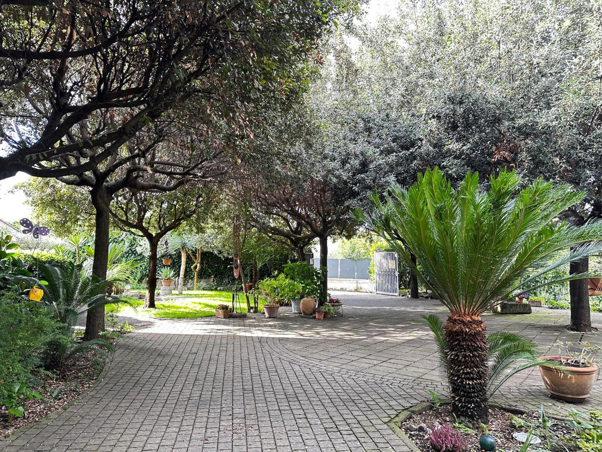Borgo De' Paolis Apartment Grottaferrata Luaran gambar